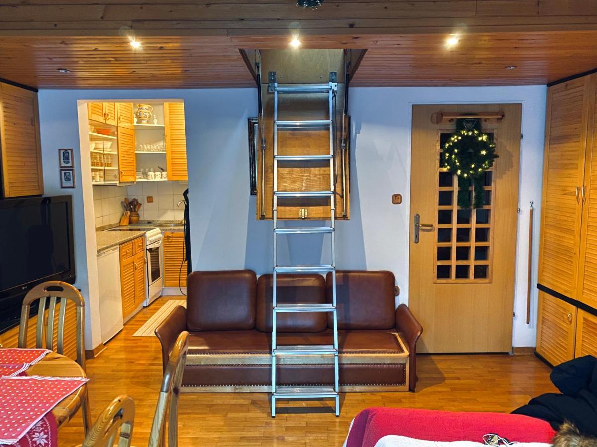Apartma Snezinka Apartment