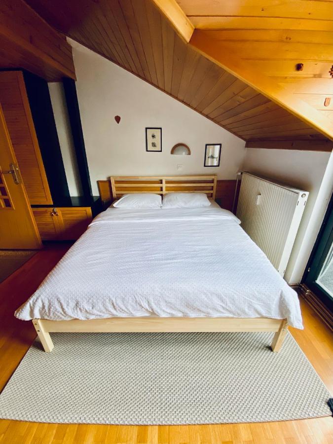 Apartma Snezinka Apartment